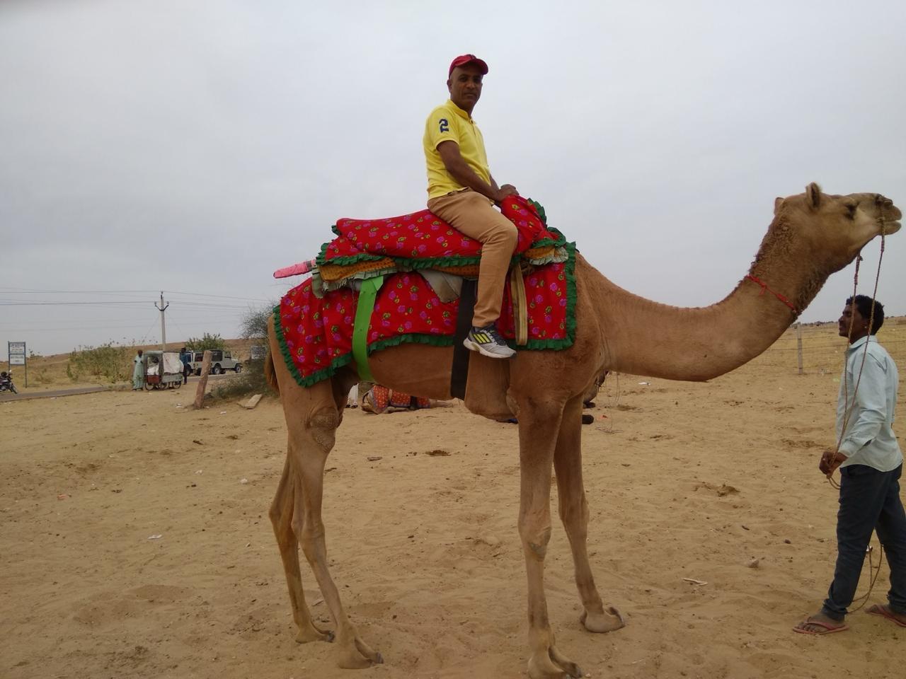 India's Specials: Royal Palaces & Desert Safari